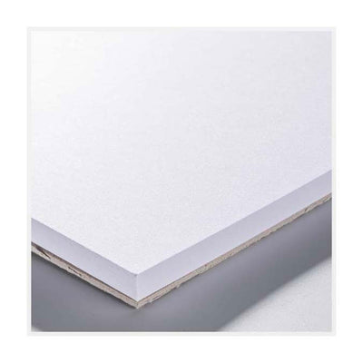 Talens bristol papier a4 246 g m2 20 vellen