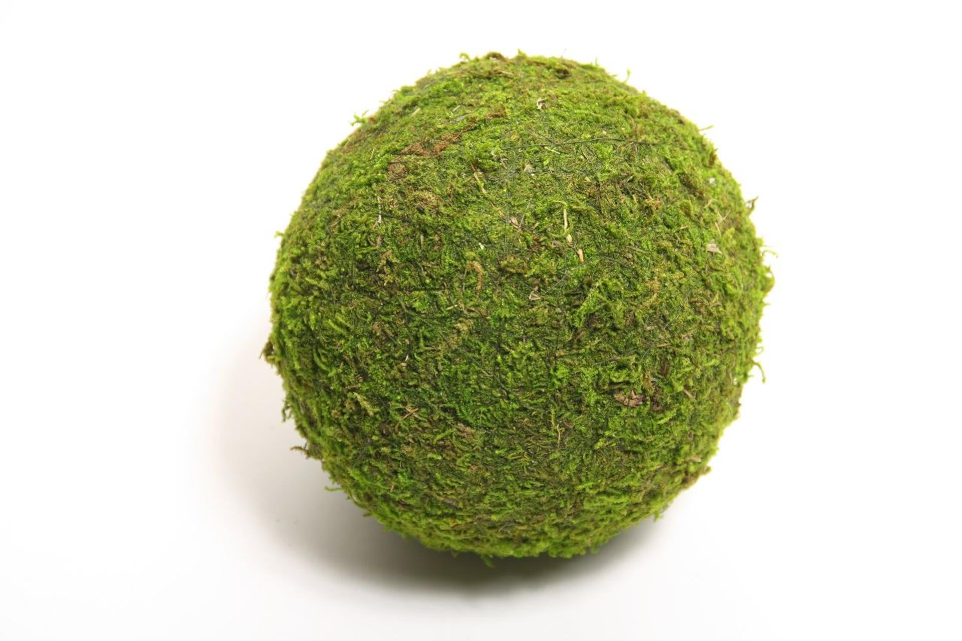 Hbx natural living bal mos asia ø15cm