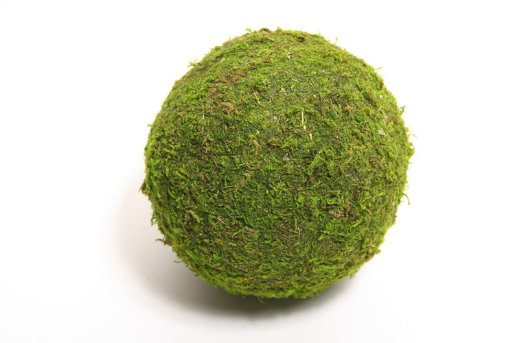 Hbx natural living bal mos asia ø15cm