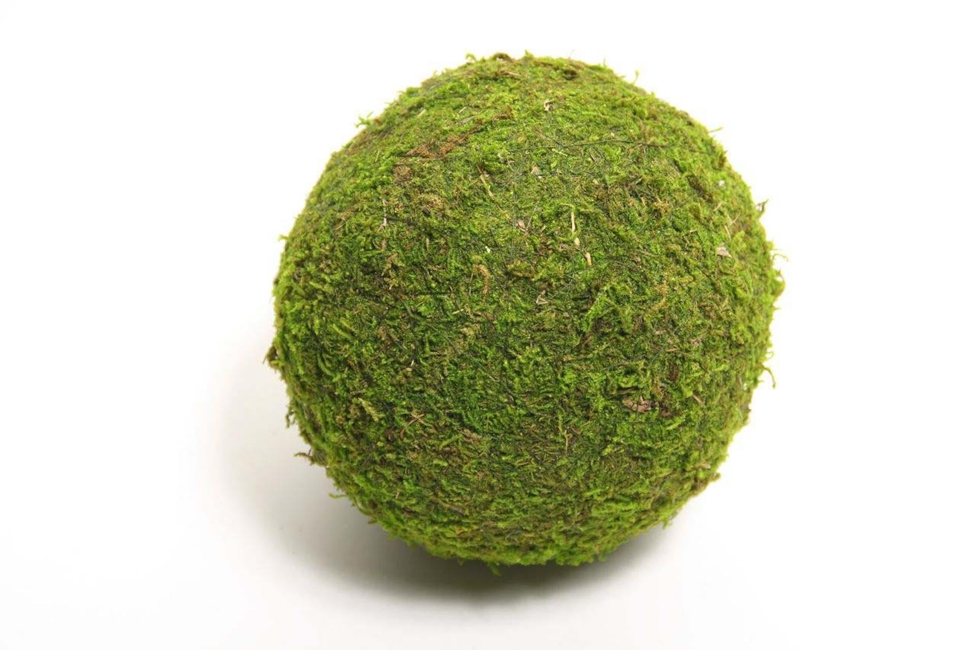 Hbx natural living bal mos asia ø20cm