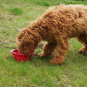 Rosewood Pet stuff drinkbak opvouwbaar assorti - afbeelding 3