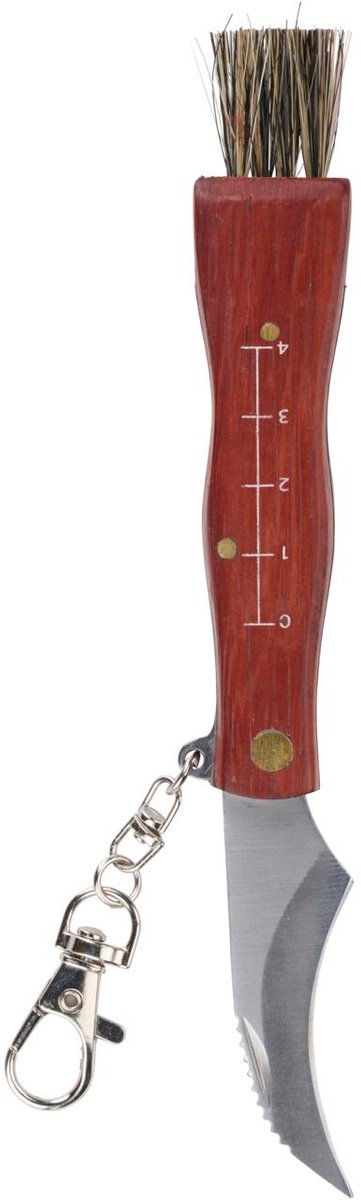 Alpina knife mushroom foldable
