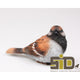 Season inspired decoration tuinbeeld vogel mus m 14,5x6,5x8,5cm