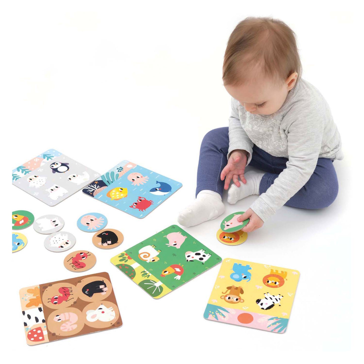 Banana panda - laten we habitat bingo spelen