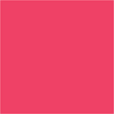 Bic https: www.cchobby.nl -visa-color-kleurstiften-lijndikte-3-mm-roze-12-stuk-1-doos