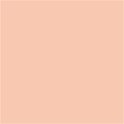 Bic https: www.cchobby.nl -visa-color-kleurstiften-lijndikte-3-mm-licht-beige-12-stuk-1-doos