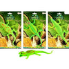 Toi-toys reptiel levensecht op kaart