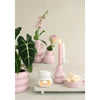 Ideas 4 seasons chubby bloempot roze ø9xh6,4cm