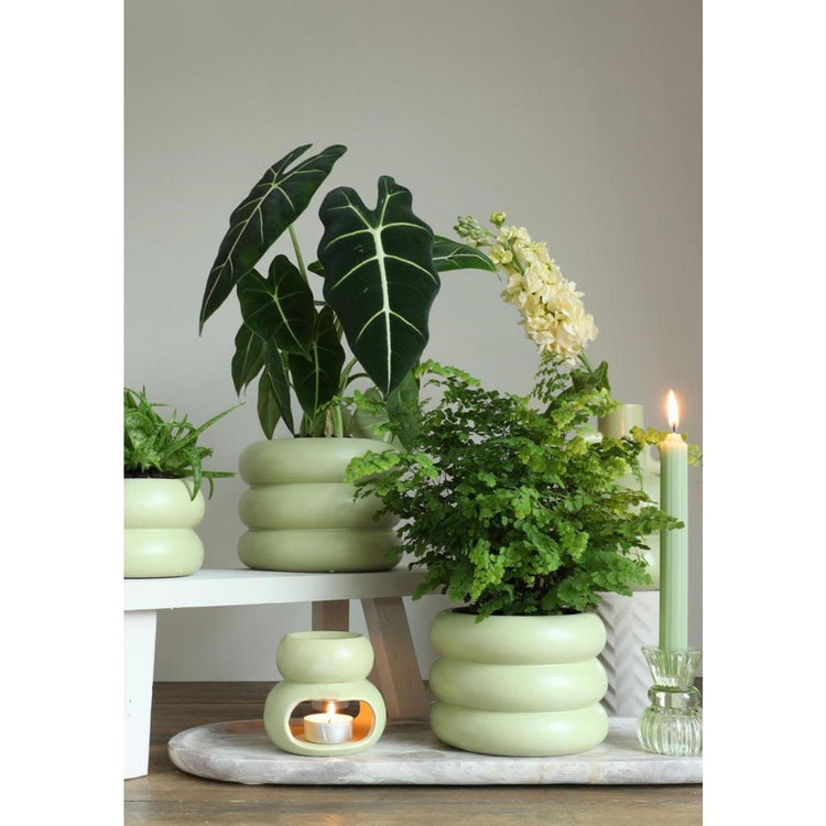Ideas 4 seasons chubby bloempot jade groen ø9xh6,4cm