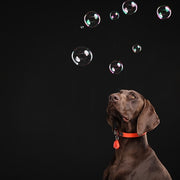Tickless Teek en vlo afweer voor hond en kat fluoriserend oranje - afbeelding 4