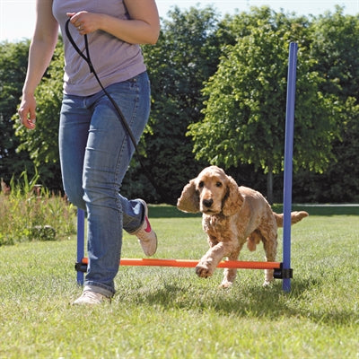 Trixie dog activity agility horde blauw oranje