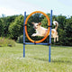 Trixie dog activity agility ring blauw oranje