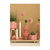 Ideas 4 seasons vaas bellagio terra roze ø11xh20cm