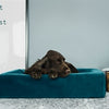 Bia bed Royal fluweel hoes voor hondenmand petrol