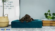 Bia bed Royal fluweel hoes voor hondenmand petrol - afbeelding 2