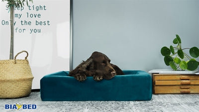 Bia bed Royal fluweel hoes voor hondenmand petrol