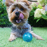 Biosafe Puppy snack bal blauw - afbeelding 4