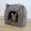 40 winks rosewood kattenmand iglo teddy bruin