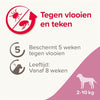 Beaphar Fiprotec hond tegen teken en vlooien