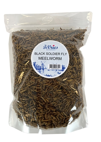 De vries Meelworm black soldier fly