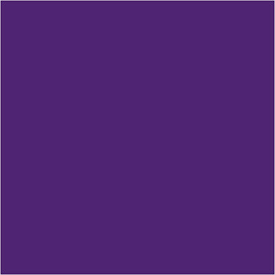 Https: www.cchobby.nl creall-studio-acrylverf-dekkend-violet-25-500-ml-1-fles