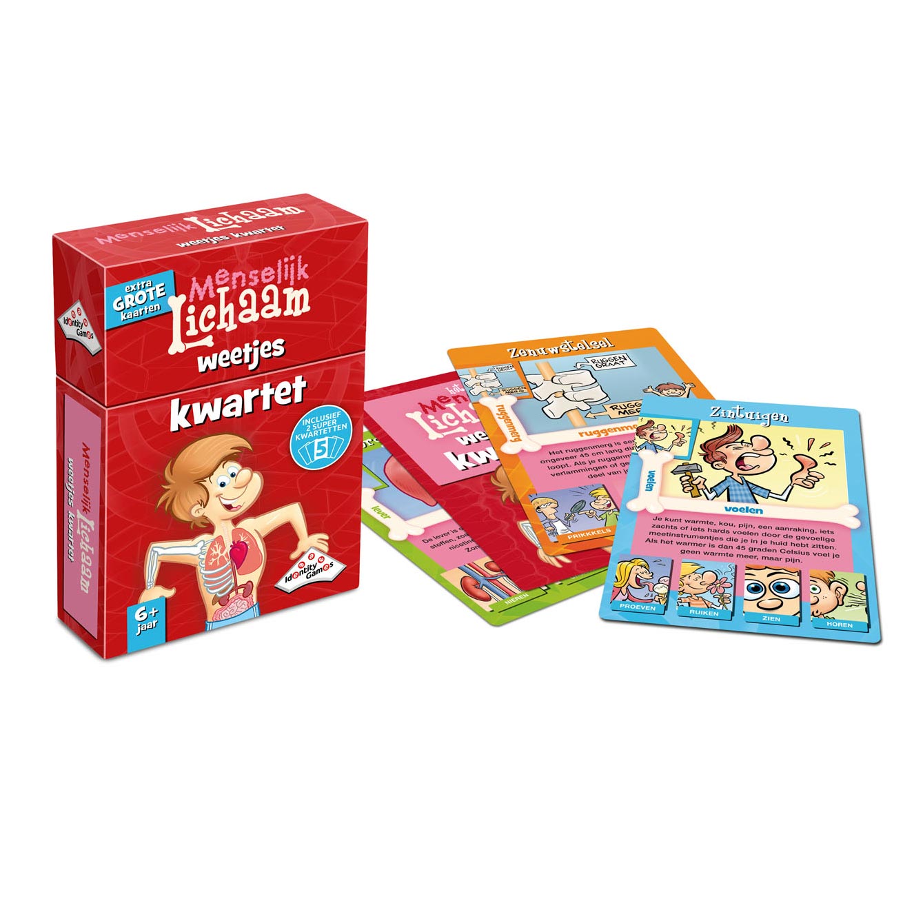 Identity games menselijk lichaam kwartet