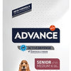 Advance Medium senior