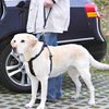 Trixie autogordel korthouder universeel zwart