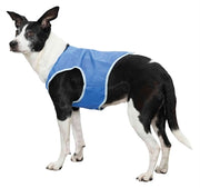 Trixie Cooling vest pva blauw - afbeelding 2