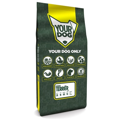 Yourdog Border terri�r pup