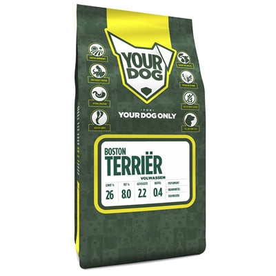 Yourdog Boston terri�r volwassen