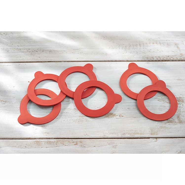 Leifheit 3214 rubberen weckringen 43x71 mm 6 stuks