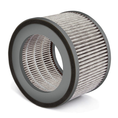 Soehnle 68106 airfresh clean 300 vervangfilter