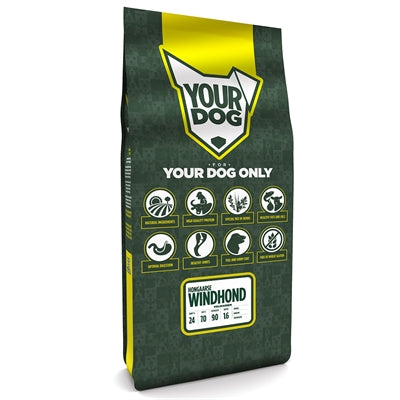 Yourdog Hongaarse windhond volwassen