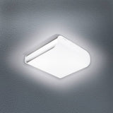 Steinel steinel sensorlamp voor binnen rs led m1 v2 zilver 052492 - afbeelding 3