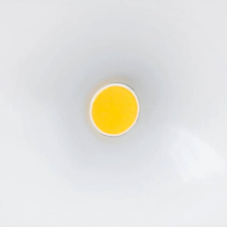 Steinel Steinel Sensor spotlight voor buiten LS 150 LED wit 052553
