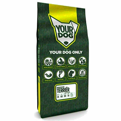 Yourdog Manchester terri�r volwassen