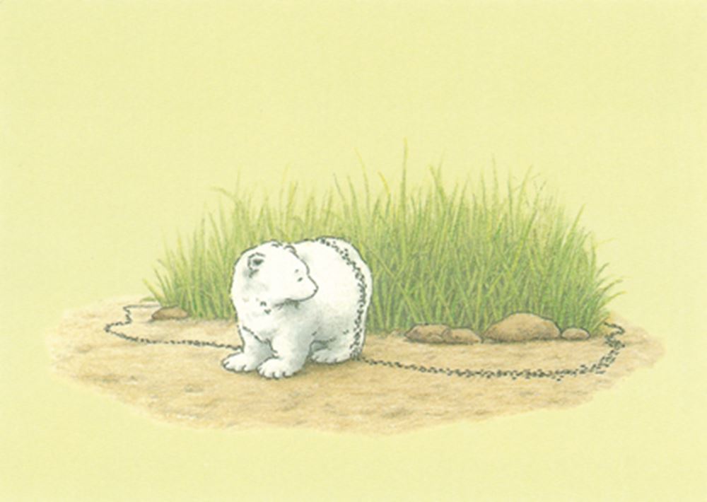 Prentbriefkaart 212: ijsbeer en mieren.