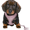 Trixie junior puppytuig soft met riem lila