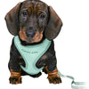 Trixie Junior puppytuig soft met riem mintgroen