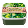 Lunchbox, dinosaurus, set van 4.