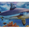 Dsp lineaal zeedieren, 21 cm. 12 ass.