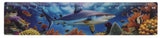 Dsp lineaal zeedieren, 21 cm. 12 ass. | 120 stuks - afbeelding 2