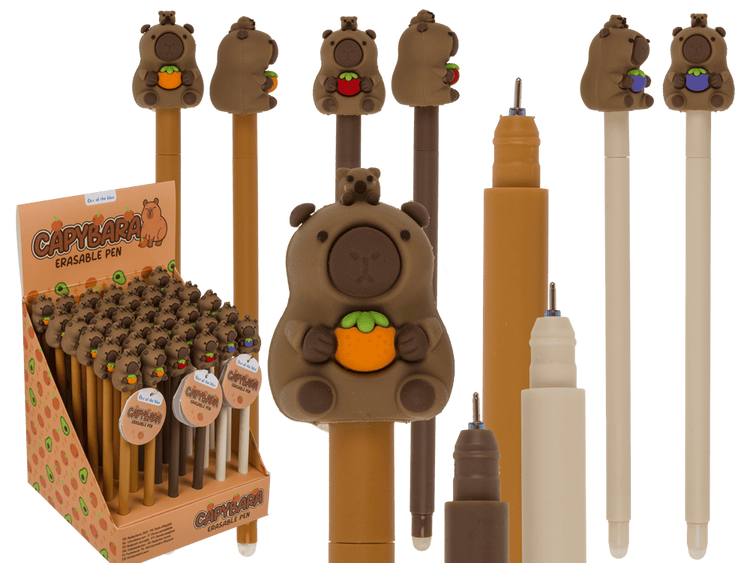 Dsp uitwisbare pen, capybara. 3 ass. 36