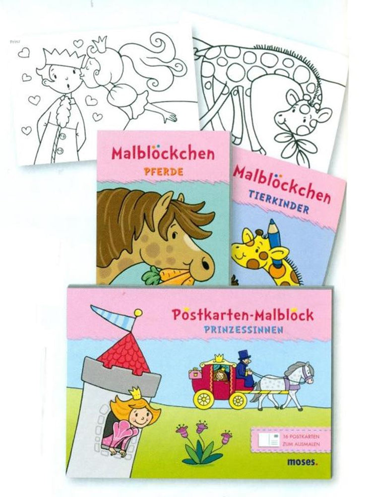 Dsp kleurblok voor meisjes, 2 ass (24 st