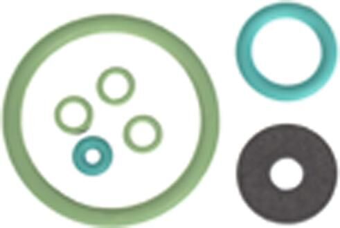 Ad pomp verstuiver ct 02 seal kit viton fkm f. brakesprueher