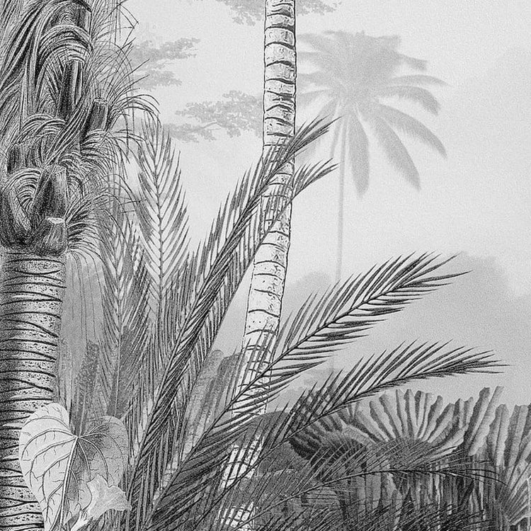 Komar fotobehang lac tropical black white 200x270 cm