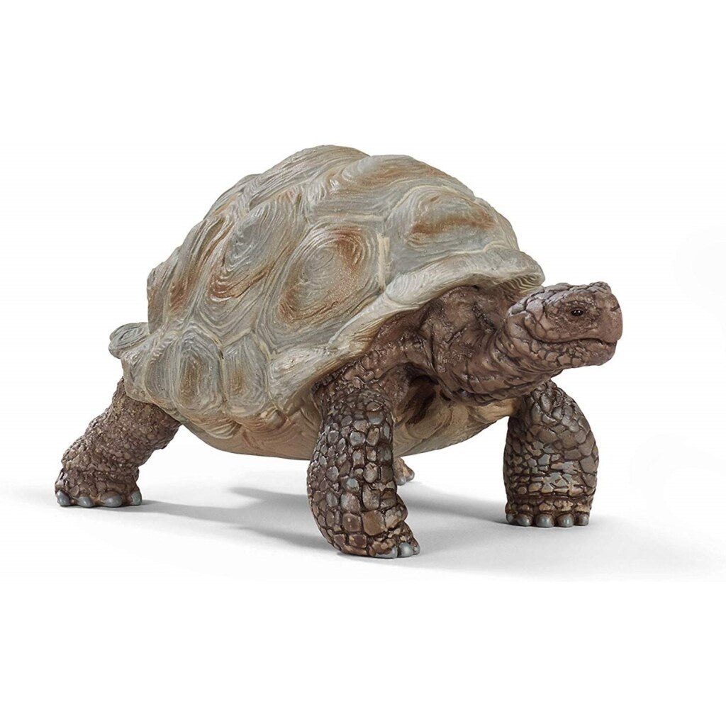 Schleich WILD LIFE Reuzenschildpad 14824