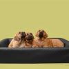 Bia bed Hondenmand original square zwart