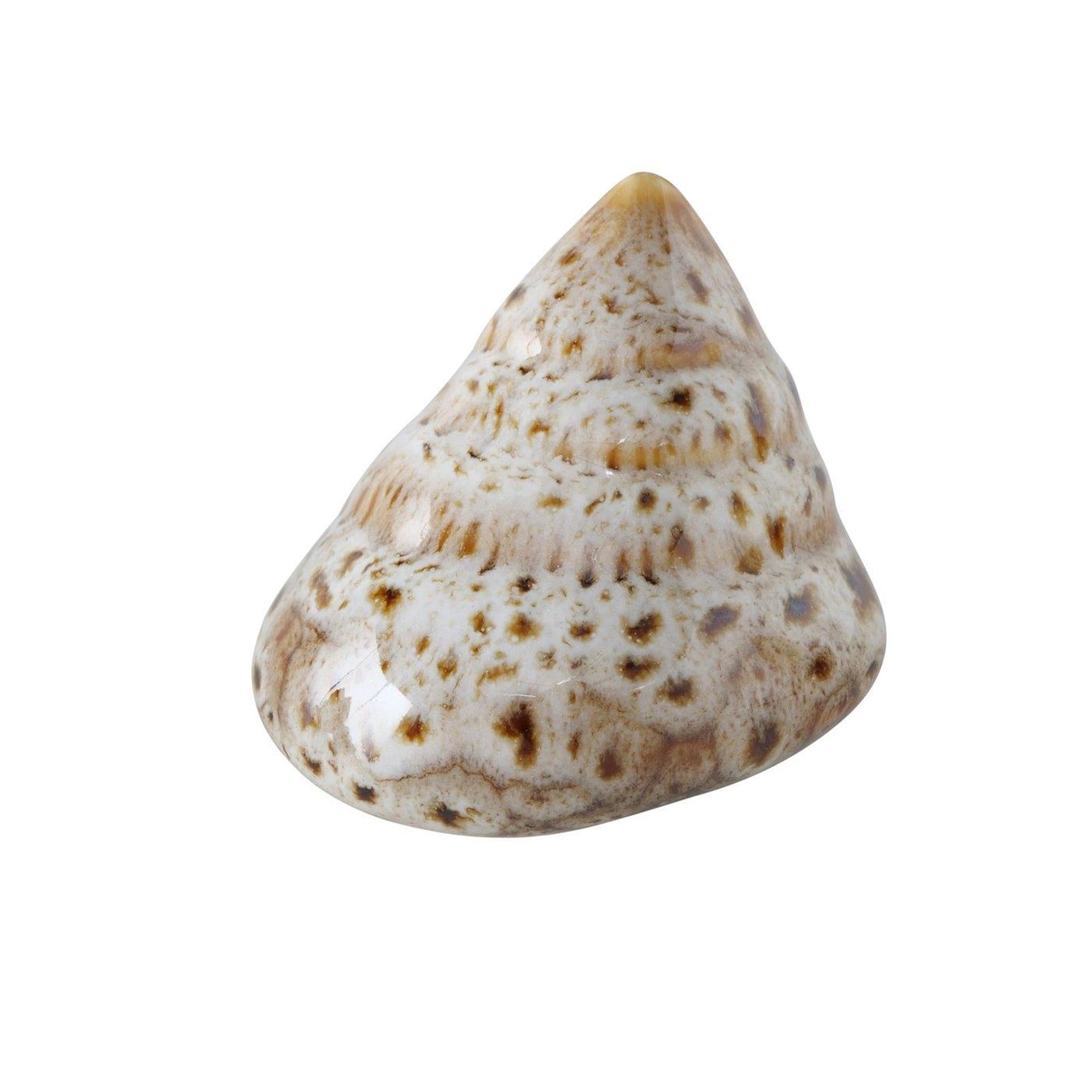 Boltze home deco schelp 7x6x4cm